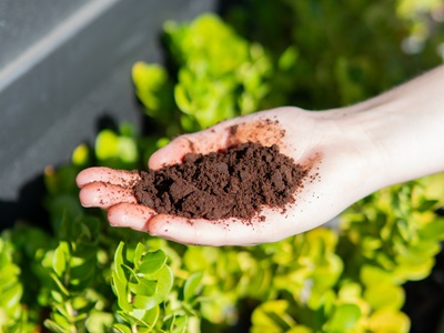 Zero Waste Coffee