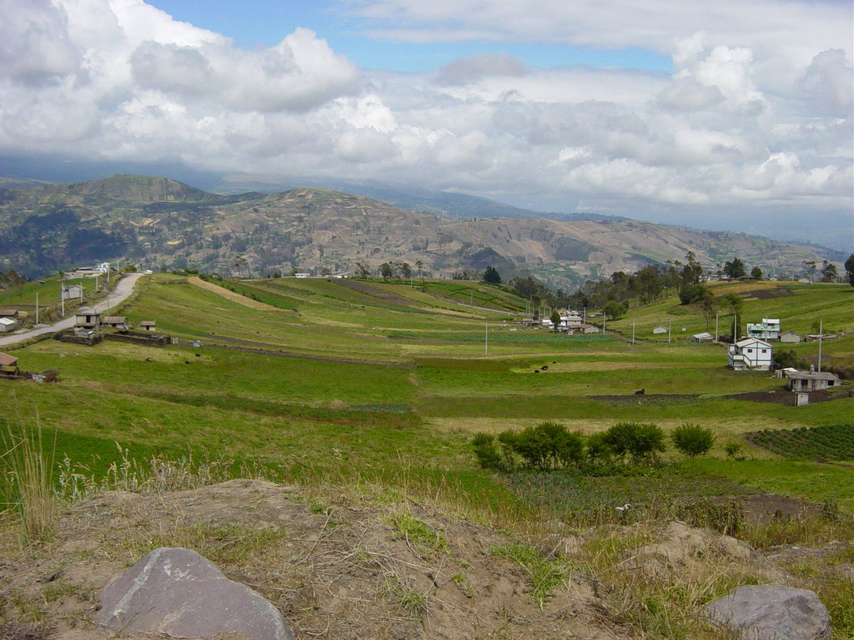 Ecuador Coffee Production, Ecuador Single Origin Coffee