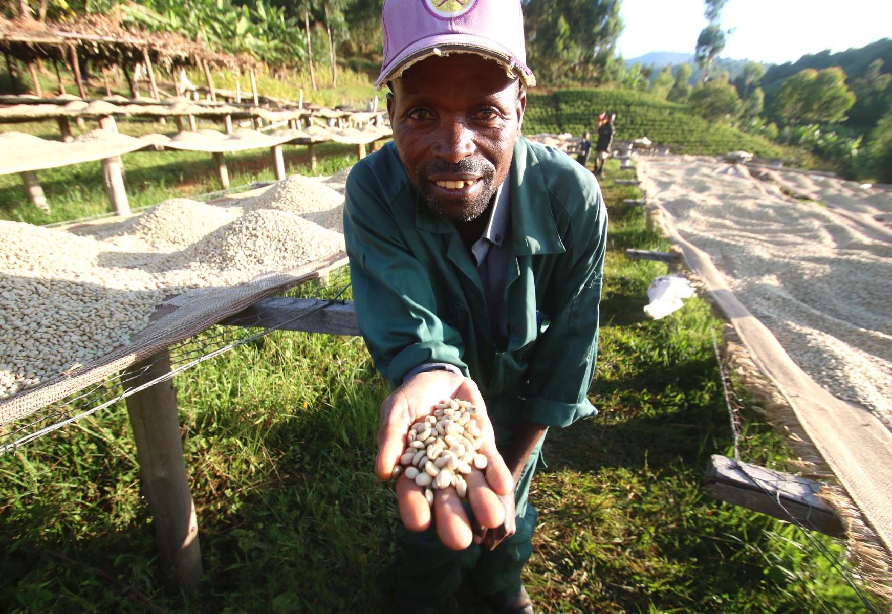 Burundi Coffee Single Origin