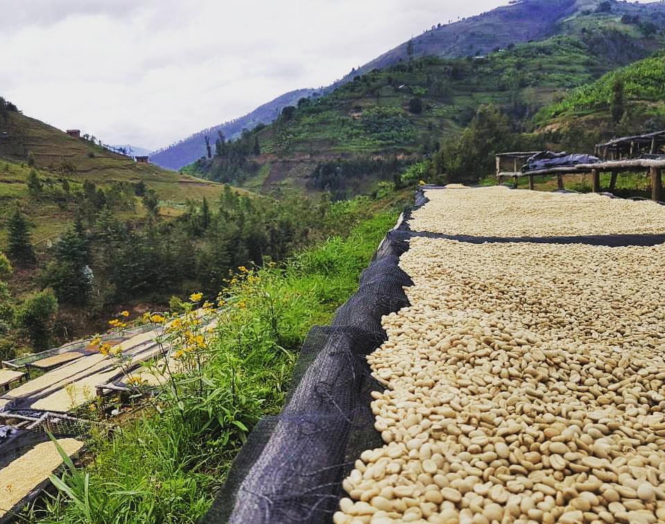 Ethiopia Drying Beds