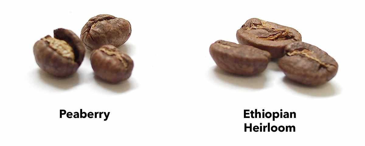 Peaberry vs Flat Beans